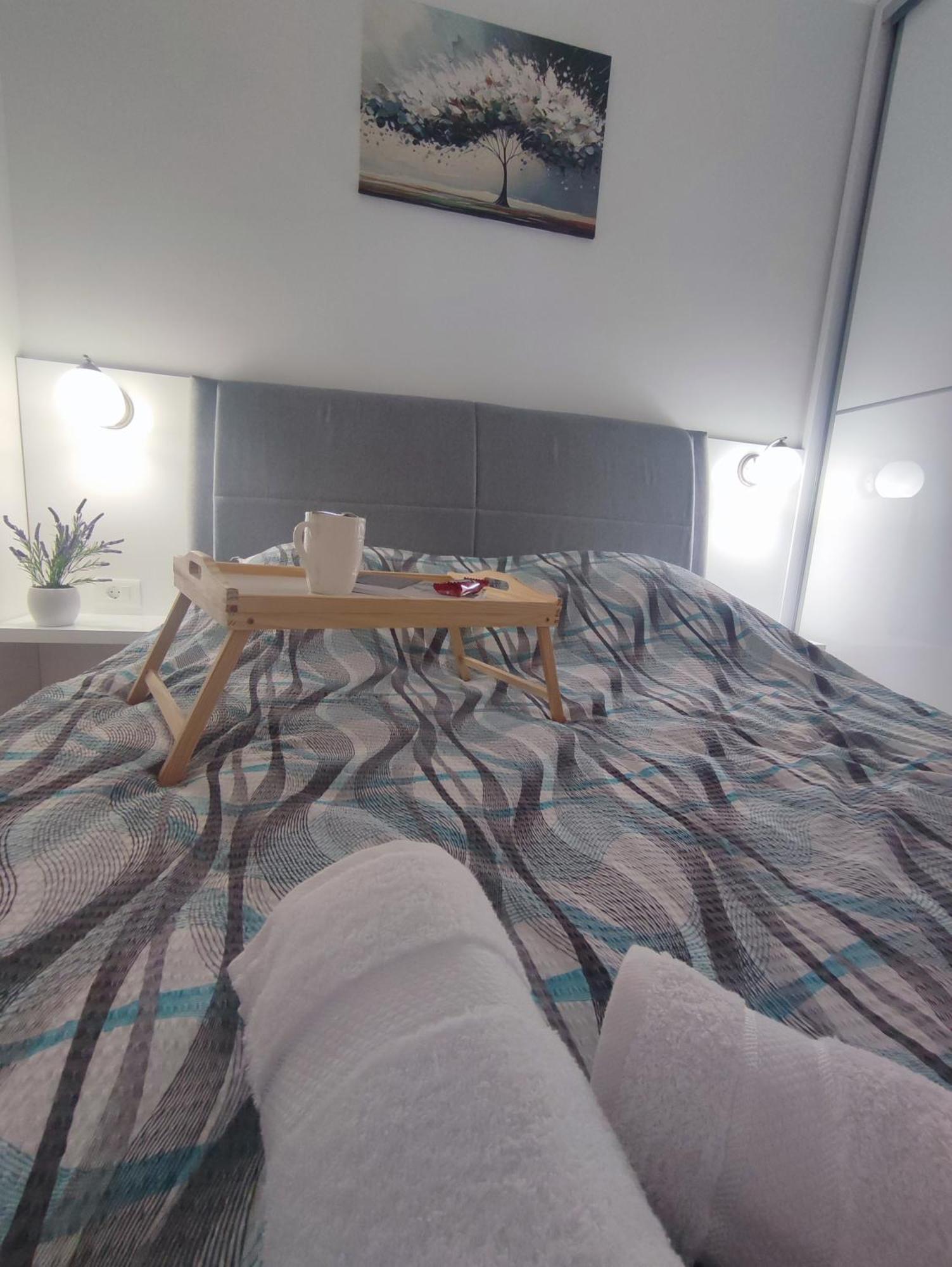 Apartment Pina Vrnjacka Banja